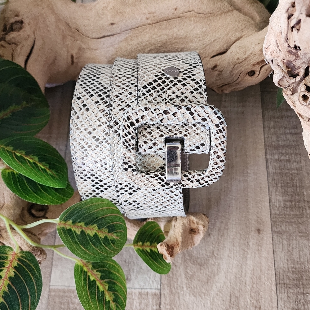Calvin Klein Snakeskin Embossed Leather Belt w/Silver Leather Lining Size Large - Picture 6 of 10
